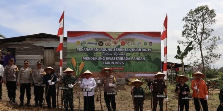 Tanam Jagung Serentak Kuartal IV, Pemkab Dan Polres Barut Saling Sinergi