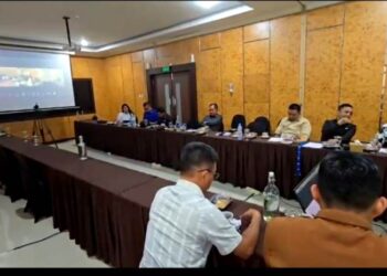 DPRD Usahakan Pemindahan Jalur Listrik Desa Lemo saat Kunker ke PLN UID Kalselteng