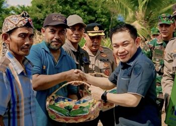 Wakil Ketua I DPRD Barito Utara Apresiasi Panen Jagung di Desa Jamut
