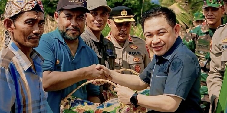 Wakil Ketua I DPRD Barito Utara Apresiasi Panen Jagung di Desa Jamut