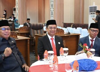 Taufik Tekankan Pentingnya Keselarasan Pembangunan dengan Pusat.