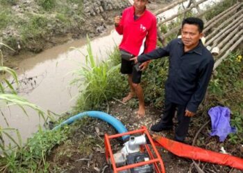 Tanggap Laporan Petani, Ardianto Turun Langsung Cek Kondisi Sawah di Teweh Selatan